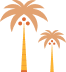 Two palm trees 