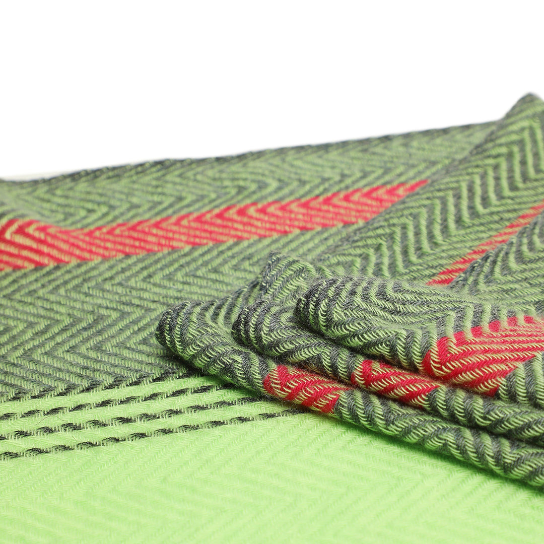 Camel Wool Luxury Scarf - Parrot Chevron Border