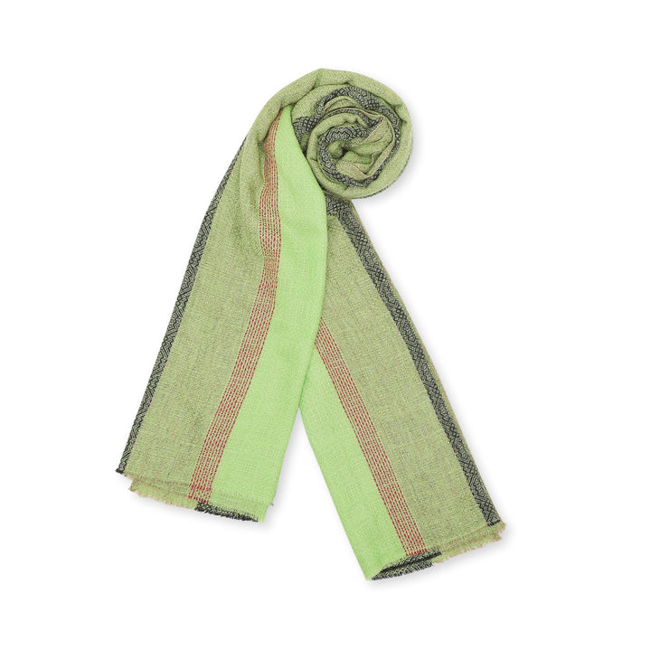 Camel Wool Luxury Scarf - Parrot Window